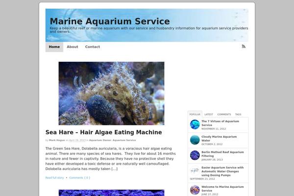 WordPress website example screenshot
