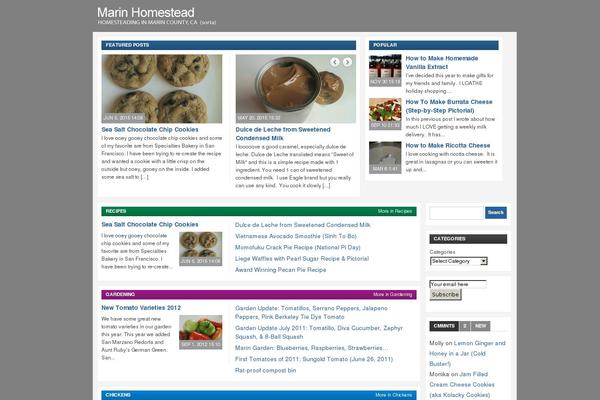 Telegraph theme site design template sample