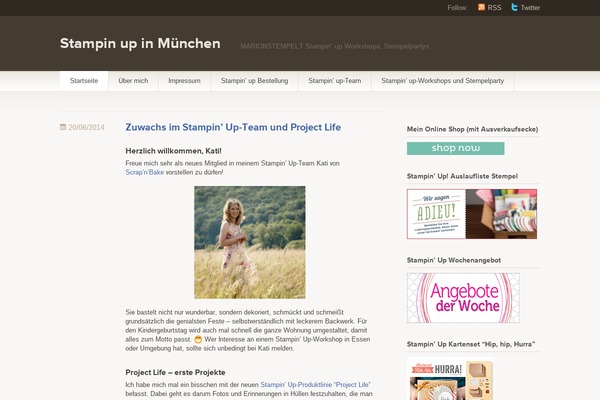 WordPress website example screenshot