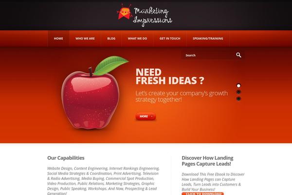 WordPress website example screenshot