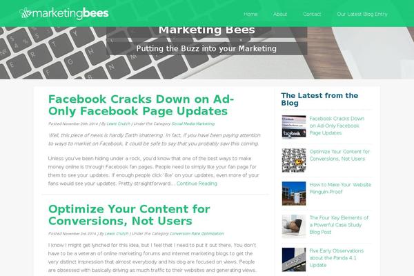 marketingbees.com site used Promothis