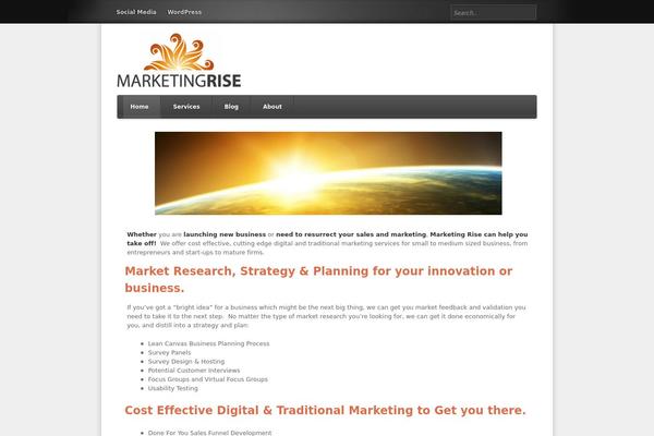 marketingrise.com site used Link