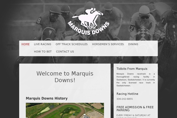 marquisdowns.com site used Marquis