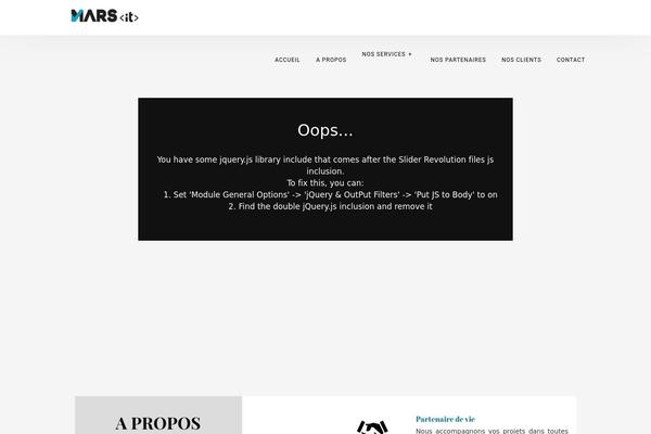 WordPress website example screenshot