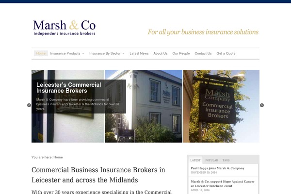 WordPress website example screenshot