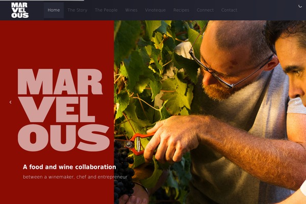 marvelouswines.com site used Photographynew
