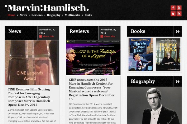 marvinhamlisch theme websites examples