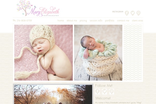Prophoto4 theme site design template sample