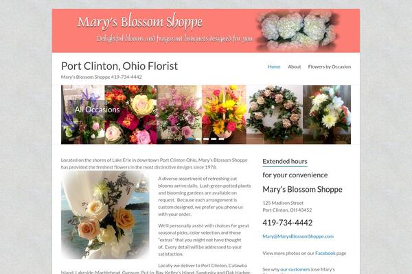 Spacious theme site design template sample