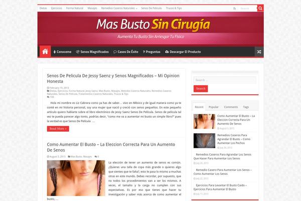 Sahifa theme site design template sample