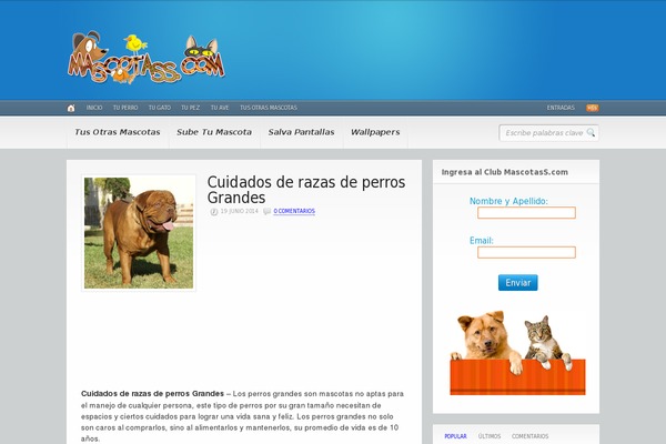 WordPress website example screenshot