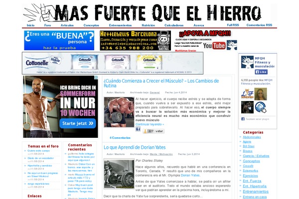 masfuertequeelhierro.com site used Bulk-blog