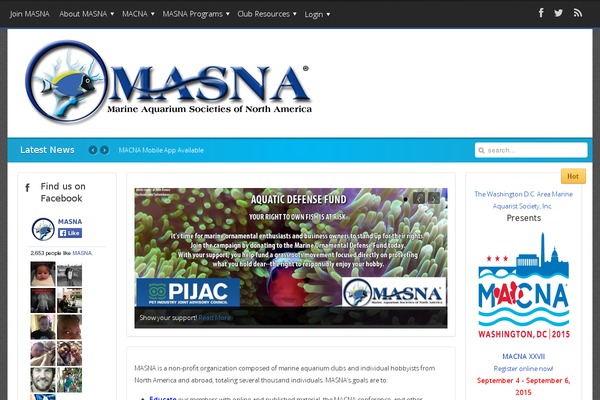 Mazaya theme site design template sample