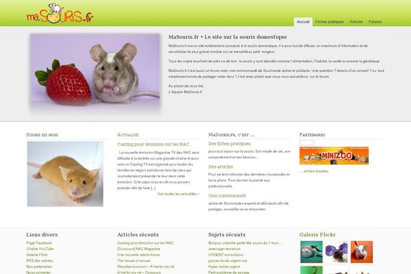 masouris.fr site used Masouris