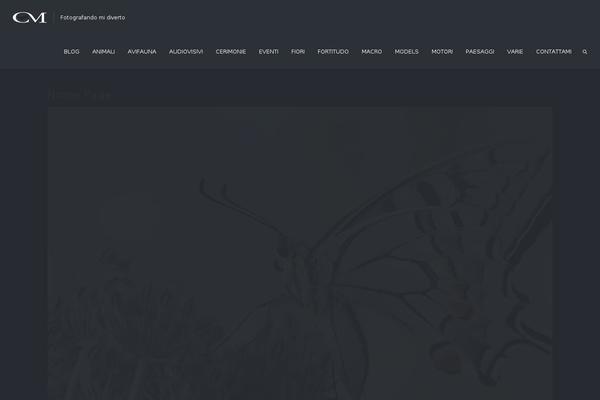 Site using WP Content Copy Protection & No Right Click plugin