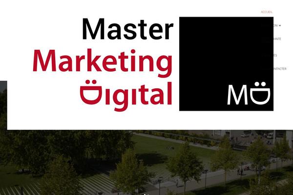 master-digital.com site used Divi_enfant