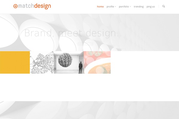 Salient theme site design template sample