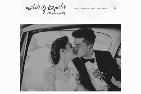 WordPress website example screenshot