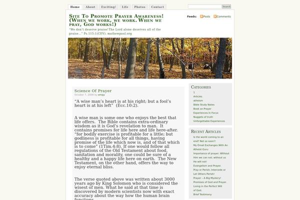 WordPress website example screenshot