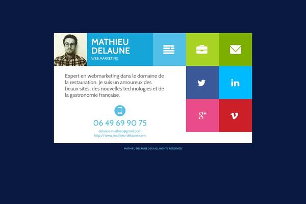 mathieu-delaune.com site used Flatcv