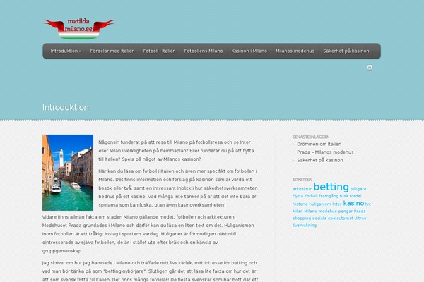 WordPress website example screenshot