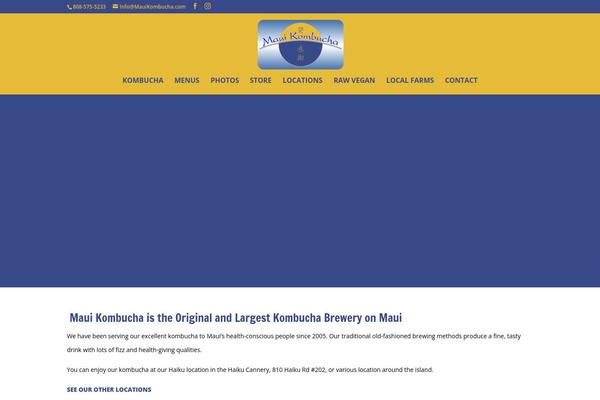 Divi theme site design template sample