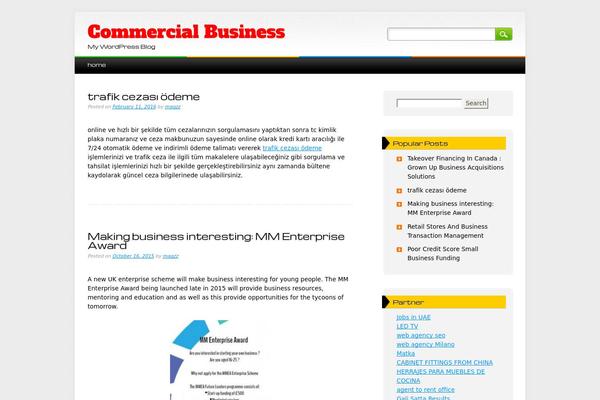 WordPress website example screenshot