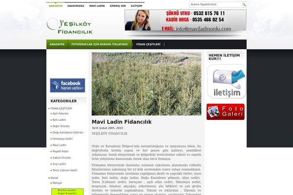 maviladinordu.com site used Maviladin