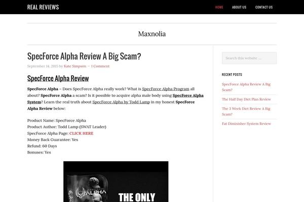 WordPress website example screenshot