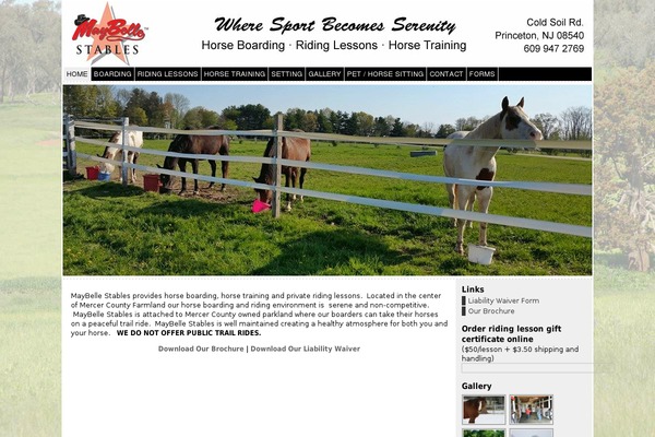 Atahualpa theme site design template sample