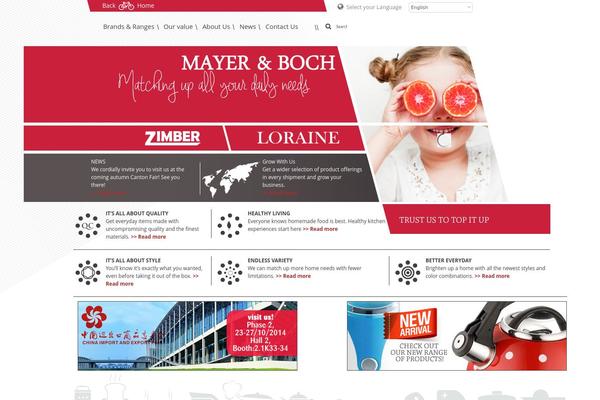 Mayer theme site design template sample