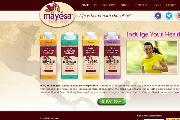 mayesa.com site used Mayesa