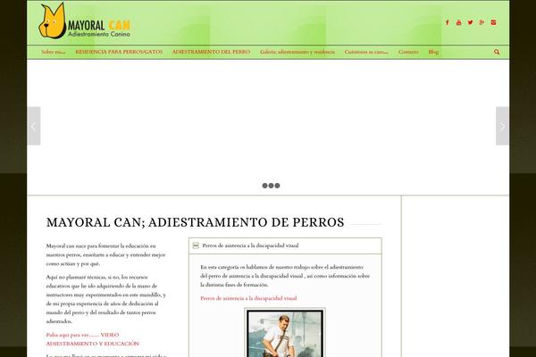 WordPress website example screenshot