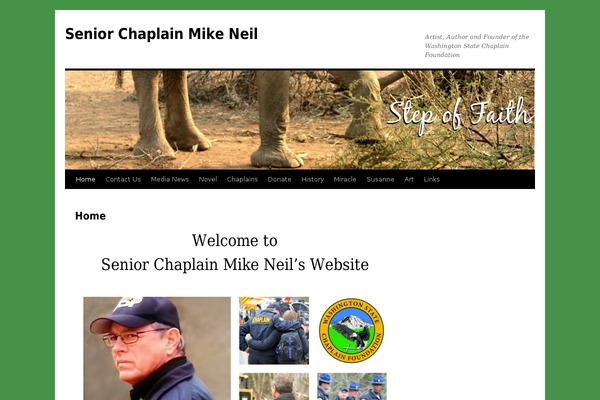 Site using Counterize plugin