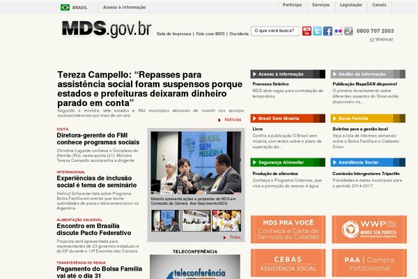 mds theme websites examples