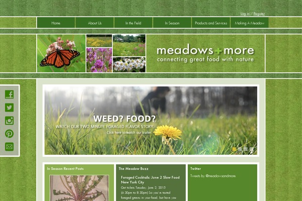meadowsandmore.com site used Meadows_and_more