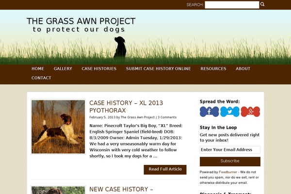meanseeds.com site used Meanseeds