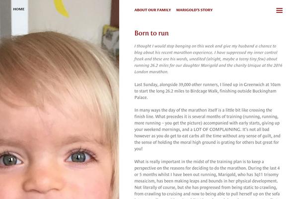 WordPress website example screenshot