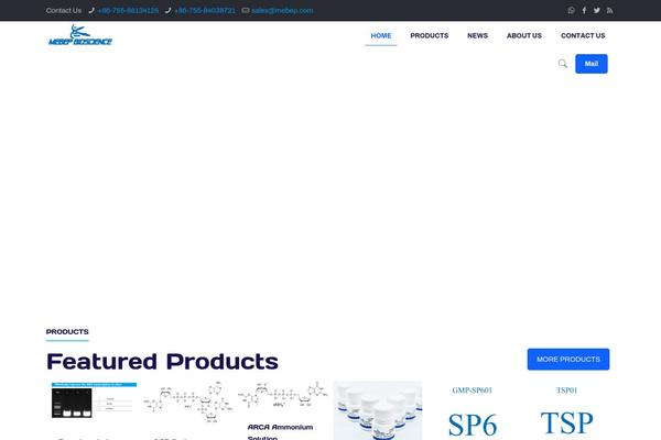 BeTheme theme site design template sample