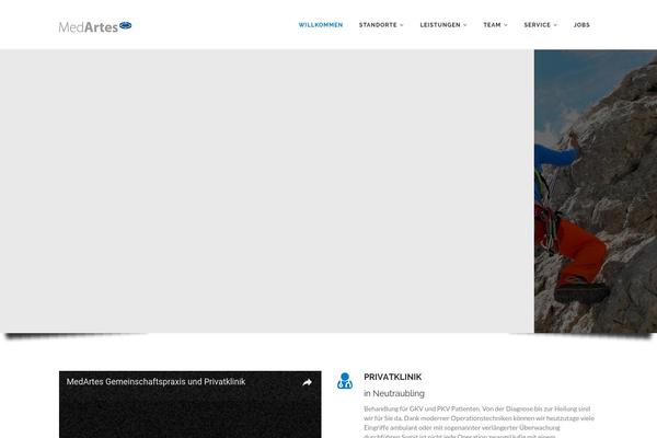 Apicona theme site design template sample