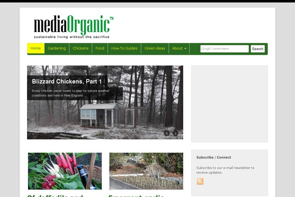 Canvas theme site design template sample