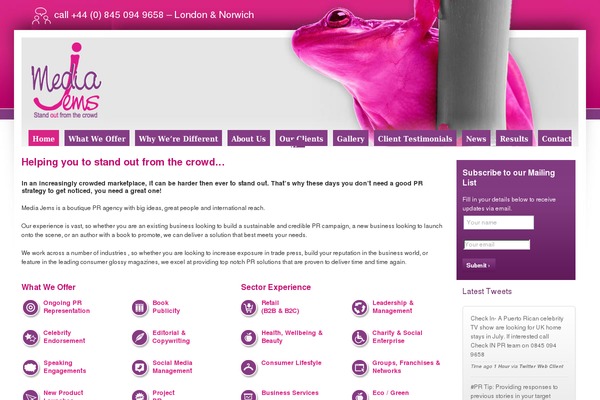 WordPress website example screenshot