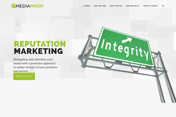 mediamash-theme theme websites examples