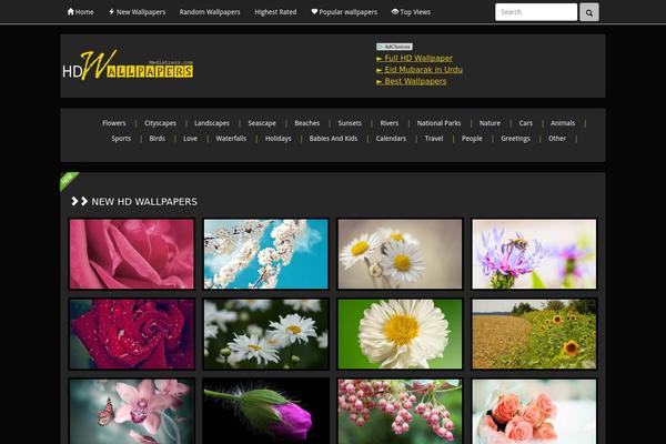 newwall WordPress theme, websites list used newwall theme newwall theme websites examples