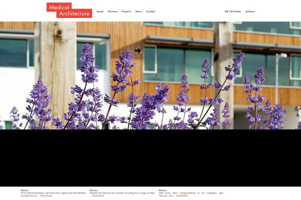 medicalarchitecture.com site used Medical-architecture