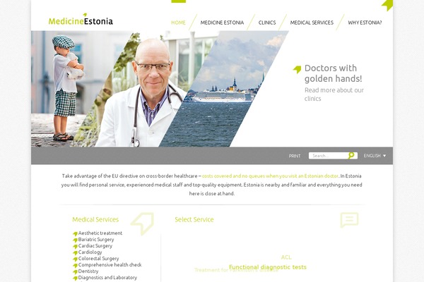 Medicine theme site design template sample