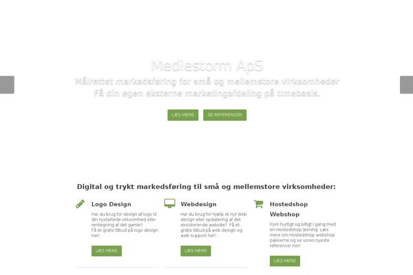 mediestorm.dk site used Salient
