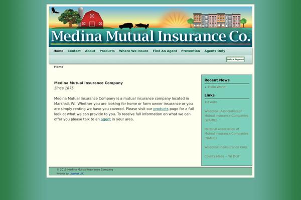 WordPress website example screenshot