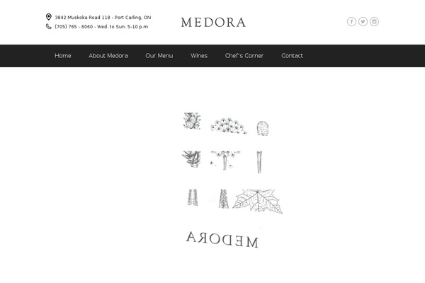 medora theme websites examples