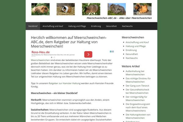 WordPress website example screenshot
